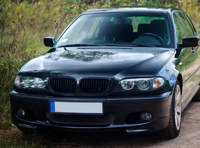 Dimljus för BMW E46 (M3 / M-Tech II), klar